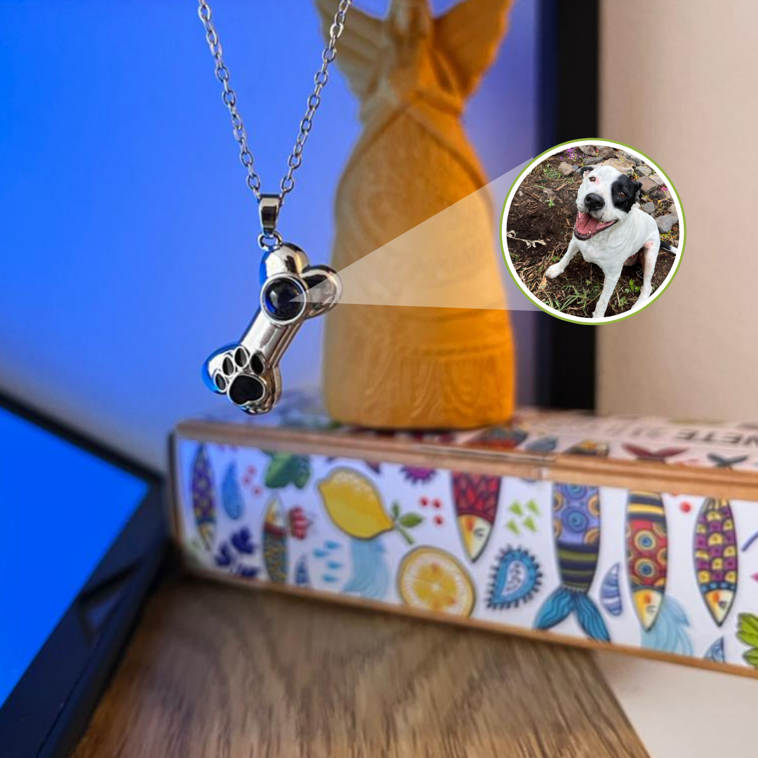 EverPaw-Collar proyector mascotas📿