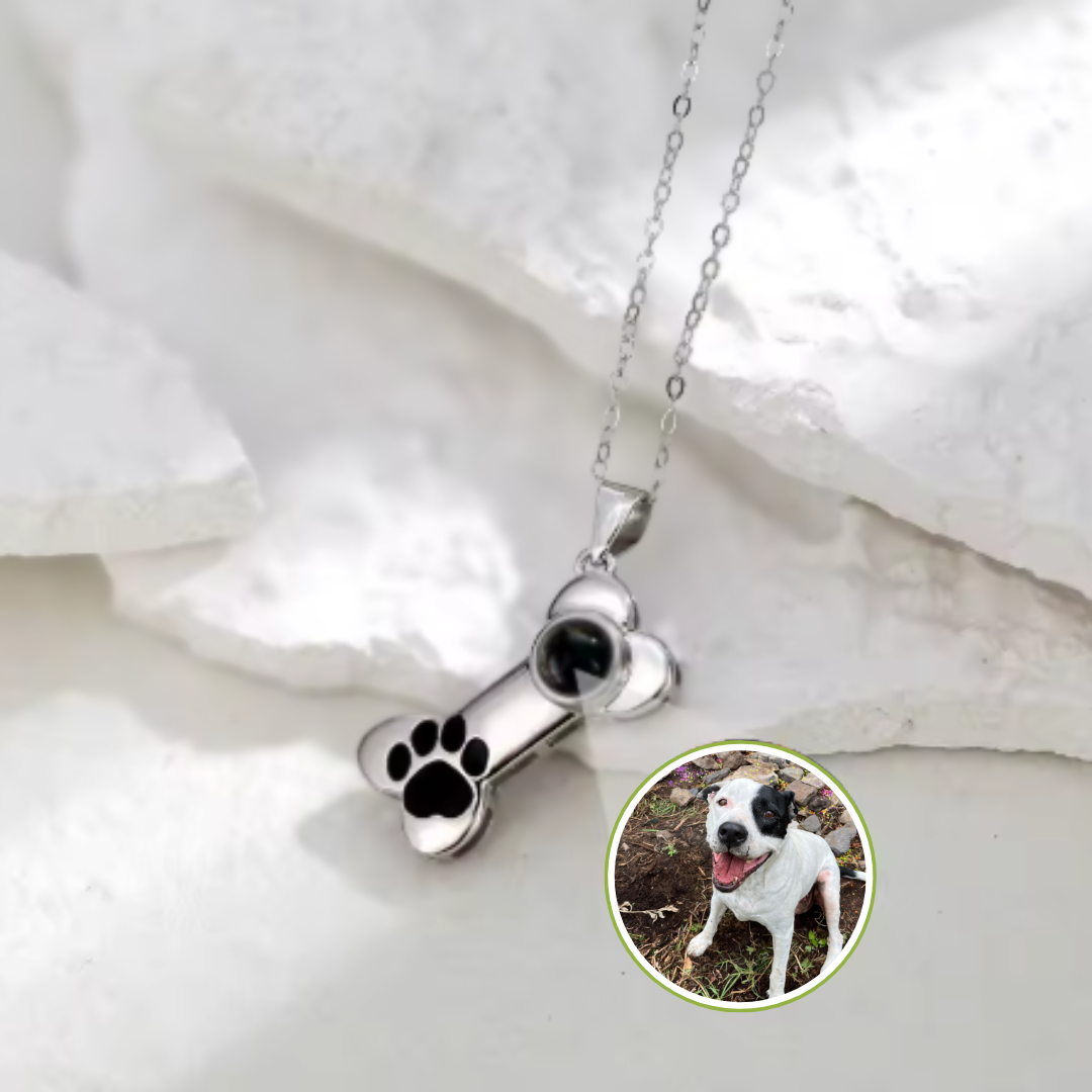 EverPaw-Collar proyector mascotas📿