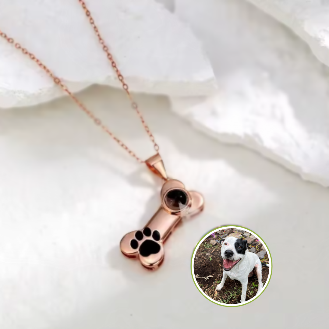 EverPaw-Collar proyector mascotas📿