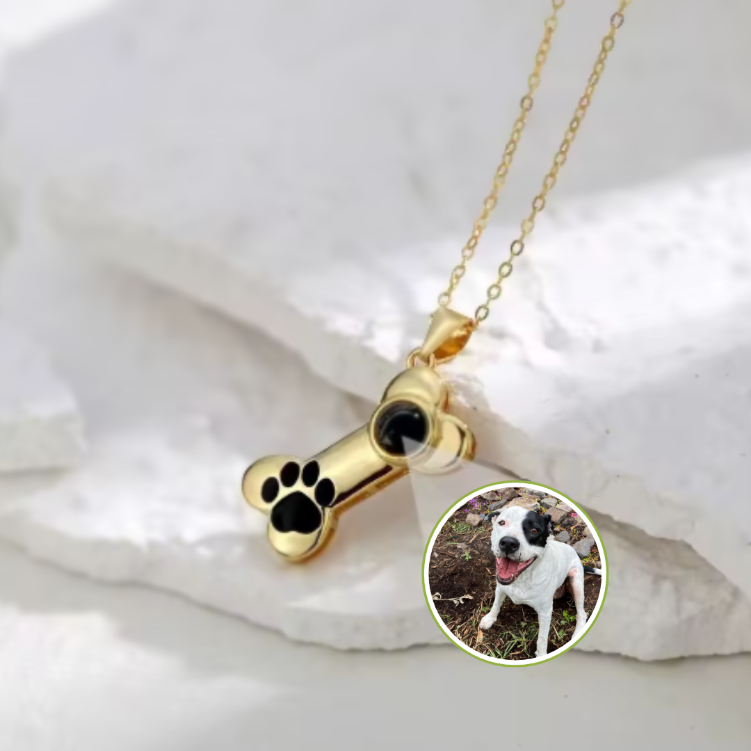 EverPaw-Collar proyector mascotas📿