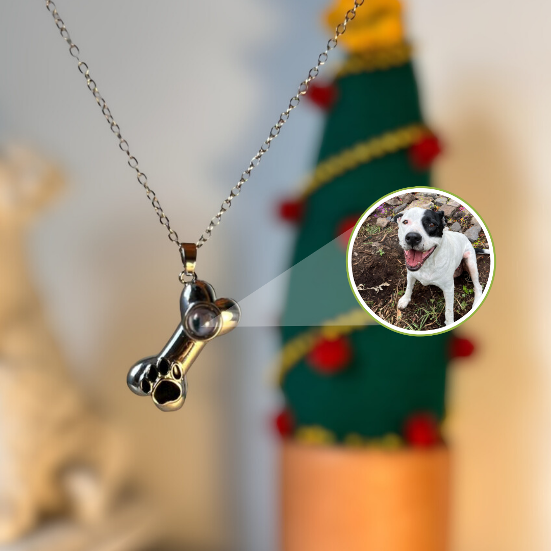 EverPaw-Collar proyector mascotas📿