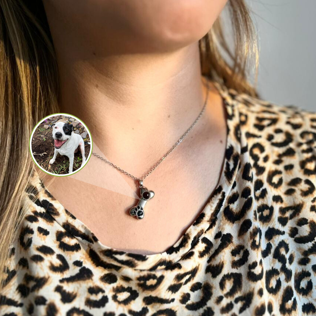 EverPaw-Collar proyector mascotas📿