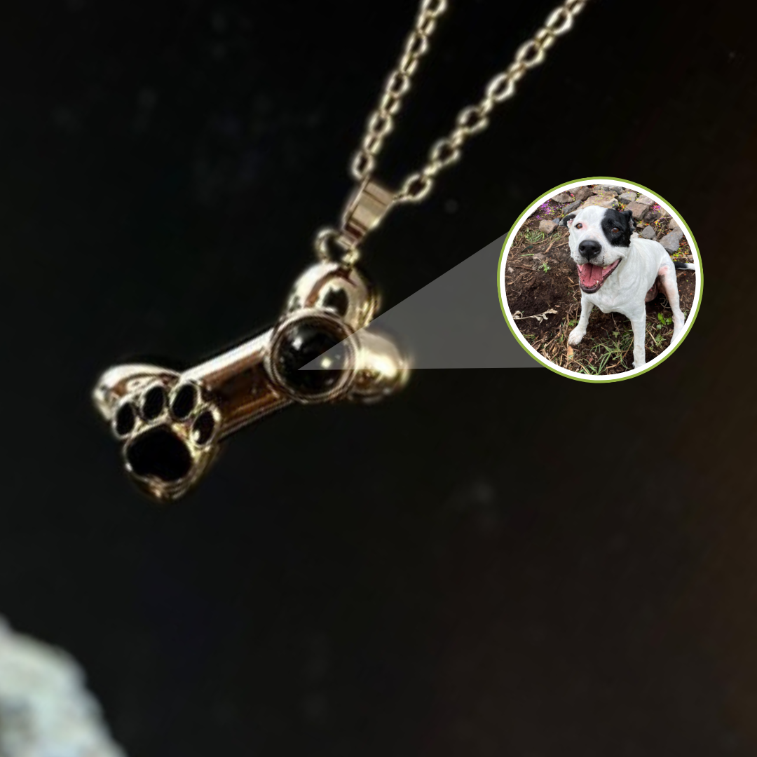 EverPaw-Collar proyector mascotas📿