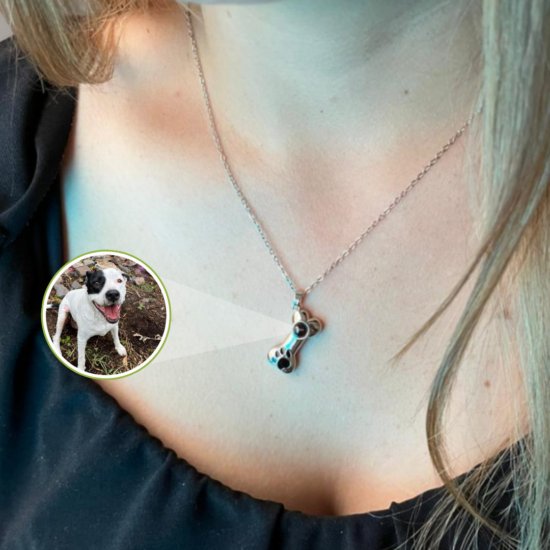 EverPaw-Collar proyector mascotas📿